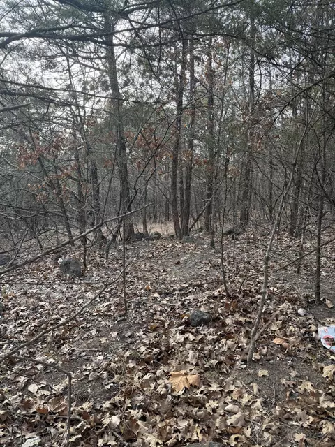 000 Arlene, Branson, MO 65616 photo 2