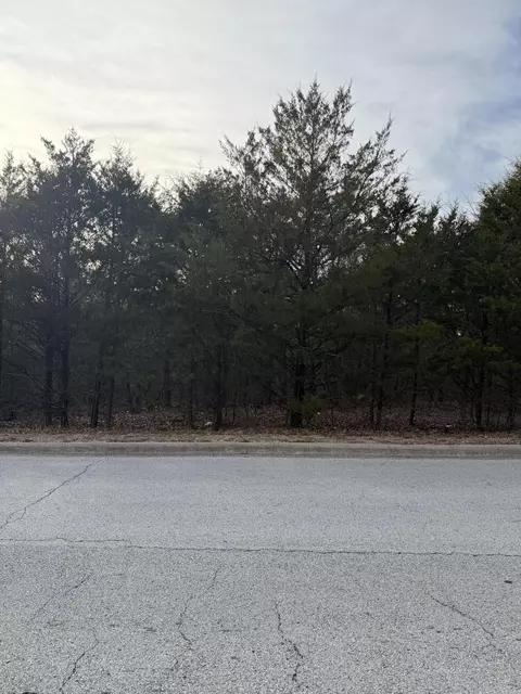 000 Arlene, Branson, MO 65616 photo 4