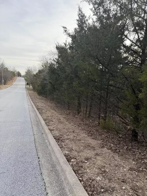 000 Arlene, Branson, MO 65616 photo 3