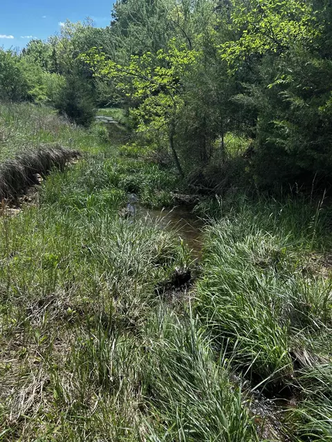 000 E Dade 22 Rd, Arcola, MO 65603 photo 8