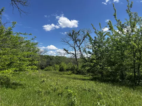 000 E Dade 22 Rd, Arcola, MO 65603 photo 3