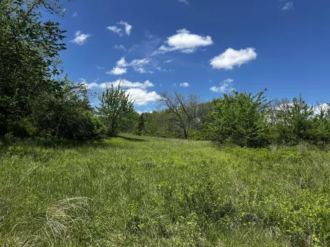 000 E Dade 22 Rd, Arcola, MO 65603 photo 7