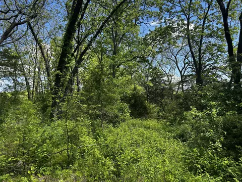 000 E Dade 22 Rd, Arcola, MO 65603 photo 2