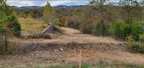 648 Sunrise Dr, Branson, MO 65616 photo 5