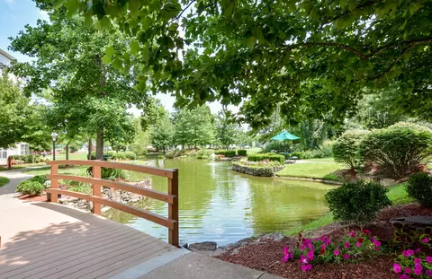 View/Area - 77 Anglers Pointe Dr #3, Branson, MO 65616 photo 1 of 1