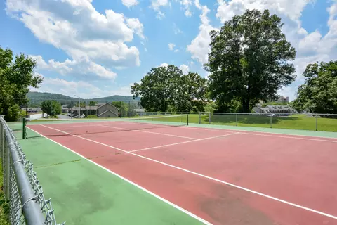 Other - 77 Anglers Pointe Dr #3, Branson, MO 65616 photo 6 of 8