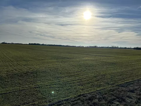 000 Cherry Rd, Diamond, MO 64840