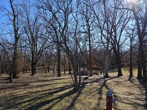 000 Redbud Pl, Monett, MO 65708