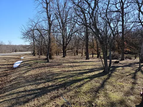 000 Redbud Pl, Monett, MO 65708 photo 3