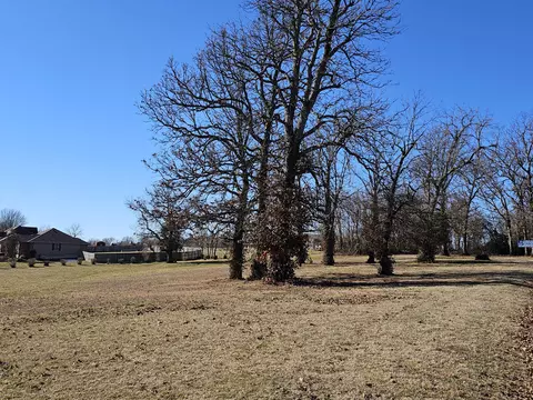 000 Redbud Pl, Monett, MO 65708 photo 6