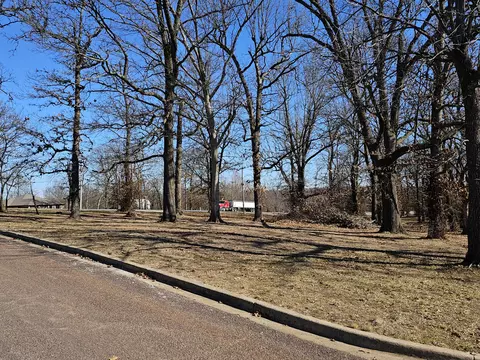 000 Redbud Pl, Monett, MO 65708 photo 11