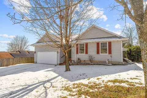 123 Primrose Ln, Branson, MO 65616