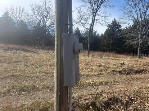 53 Della Rose Ln, Gainesville, MO 65655 photo 8