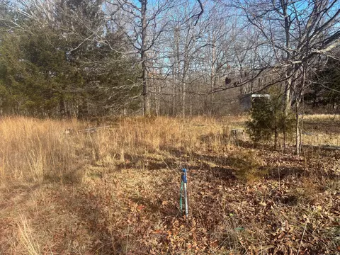 53 Della Rose Ln, Gainesville, MO 65655 photo 3