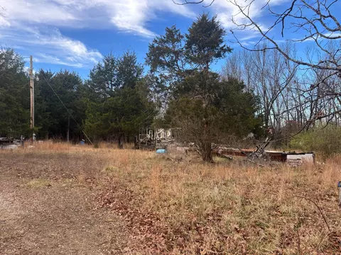 53 Della Rose Ln, Gainesville, MO 65655 photo 5