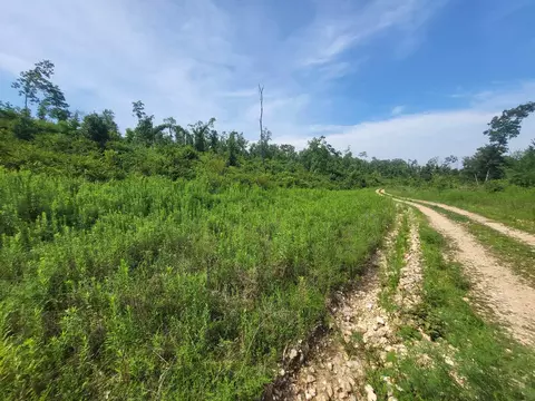 0 Tract Apt 60 Cedar Gap Hh, Seymour, MO 65746