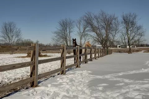 Exterior - 6419 N Wexford Ln, Springfield, MO 65803 photo 13 of 13