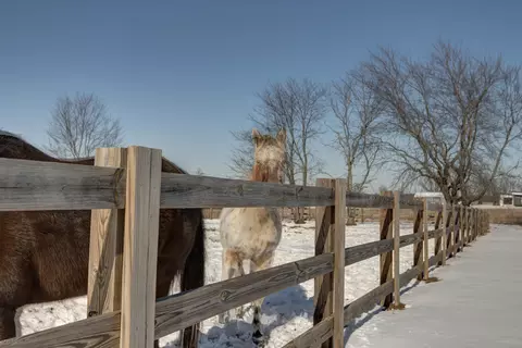Other - 6419 N Wexford Ln, Springfield, MO 65803 photo 11 of 12