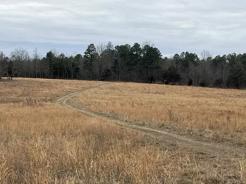 Tract 6 Private Drive 2336, Norwood, MO 65717