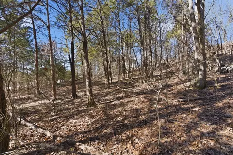 lot24 Spring Ct, Branson, MO 65616 photo 7