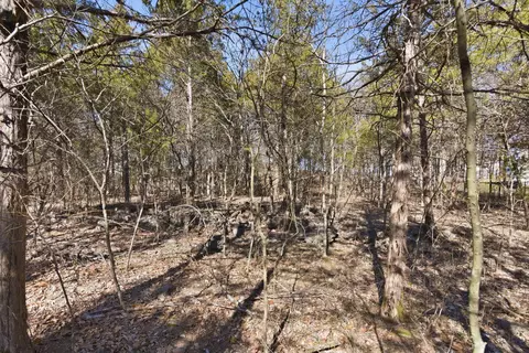 lot24 Spring Ct, Branson, MO 65616 photo 13
