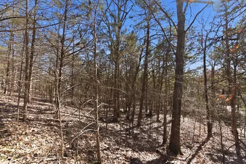 lot24 Spring Ct, Branson, MO 65616 photo 11