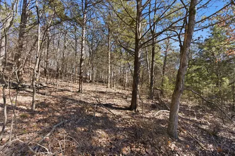 lot24 Spring Ct, Branson, MO 65616 photo 10