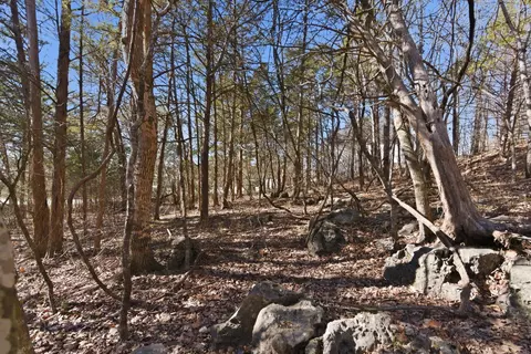 lot24 Spring Ct, Branson, MO 65616 photo 5