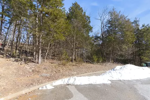 lot24 Spring Ct, Branson, MO 65616 photo 22