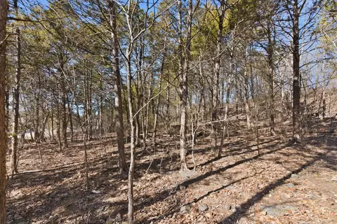 lot24 Spring Ct, Branson, MO 65616 photo 9