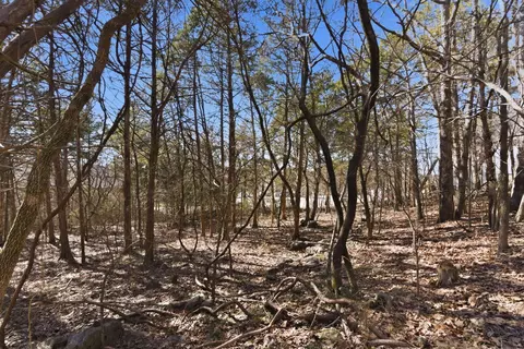 lot24 Spring Ct, Branson, MO 65616 photo 8