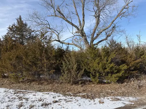 235 Shady Oaks Shr, Forsyth, MO 65653 photo 3
