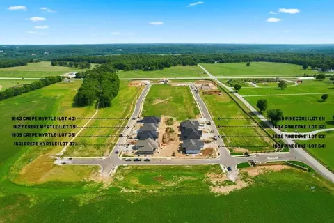 Other - 1627 S Crepe Myrtle Ln, Springfield, MO 65809 photo 29 of 34
