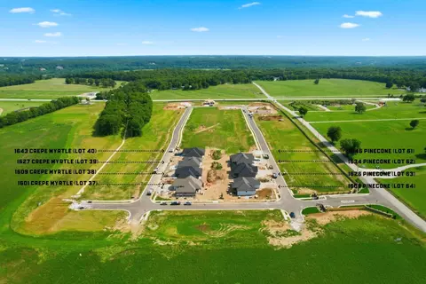 View/Area - 1643 S Crepe Myrtle Ln, Springfield, MO 65809 photo 3 of 8