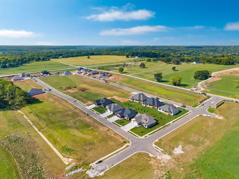 View/Area - 1643 S Crepe Myrtle Ln, Springfield, MO 65809 photo 6 of 9
