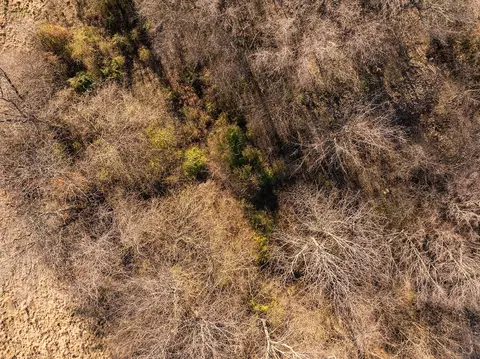 000 Farm Road 148, Springfield, MO 65802 photo 9