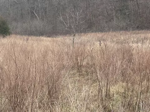 1007 County Road 166, Drury, MO 65638 photo 9
