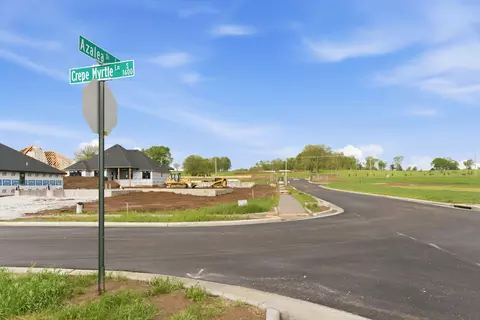 Other - 1626 S Pinecone Path, Springfield, MO 65809 photo 5 of 5