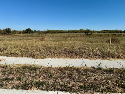 1889 E Vicksburg, Republic, MO 65738