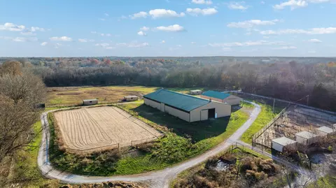 Other - 465 E War Horse Ln, Willard, MO 65781 photo 11 of 20