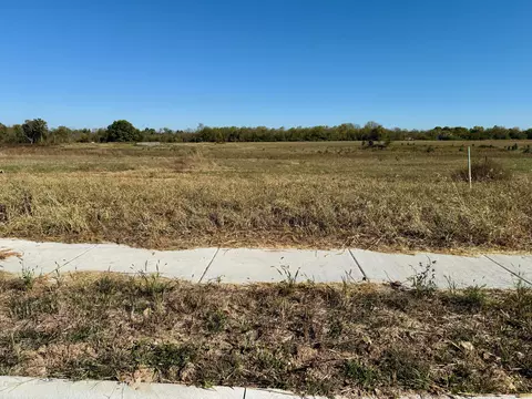 980 S Stonewall Rd, Republic, MO 65738
