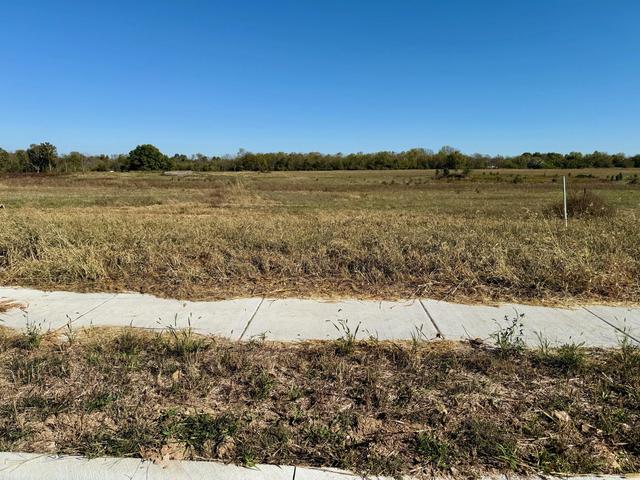 1038 S Antietam Rd, Republic, MO 65738