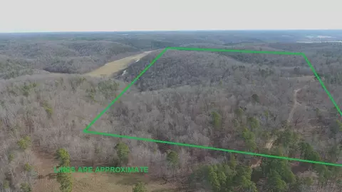 000 Private Road 422-17, Birch Tree, MO 65438 photo 2