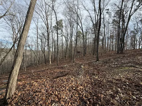 000 Private Road 422-17, Birch Tree, MO 65438 photo 21