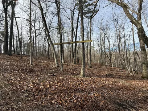 000 Private Road 422-17, Birch Tree, MO 65438 photo 22