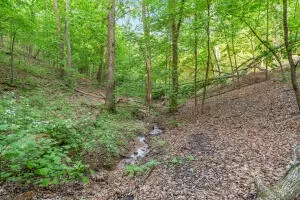 000 El Monte Rd #LOT 1, Branson, MO 65616