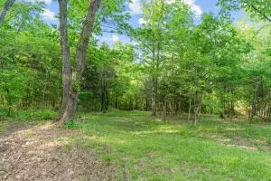 000 El Monte Rd #LOT 1, Branson, MO 65616 photo 4