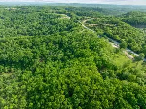 000 El Monte Rd #LOT 1, Branson, MO 65616 photo 3