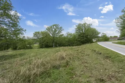 tbd Pinto Ln, Cape Fair, MO 65624 photo 4