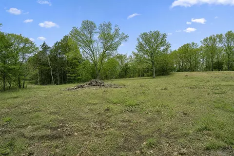 tbd Pinto Ln, Cape Fair, MO 65624 photo 5
